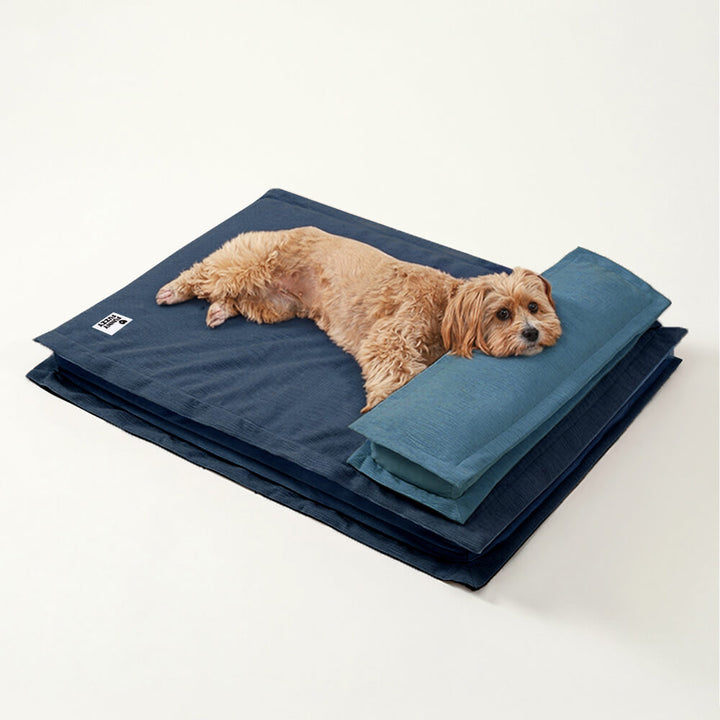 Calming Dog Bed - CozyCalm Deep Sleep-Dark blue-S-State of Style