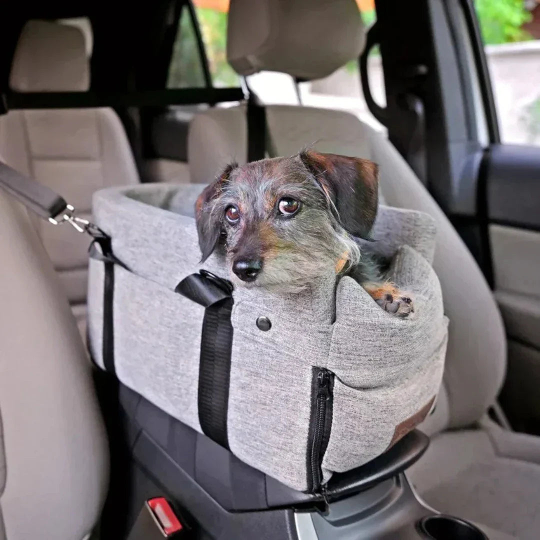 Car seat for Pets - PawVoyage-State of Style