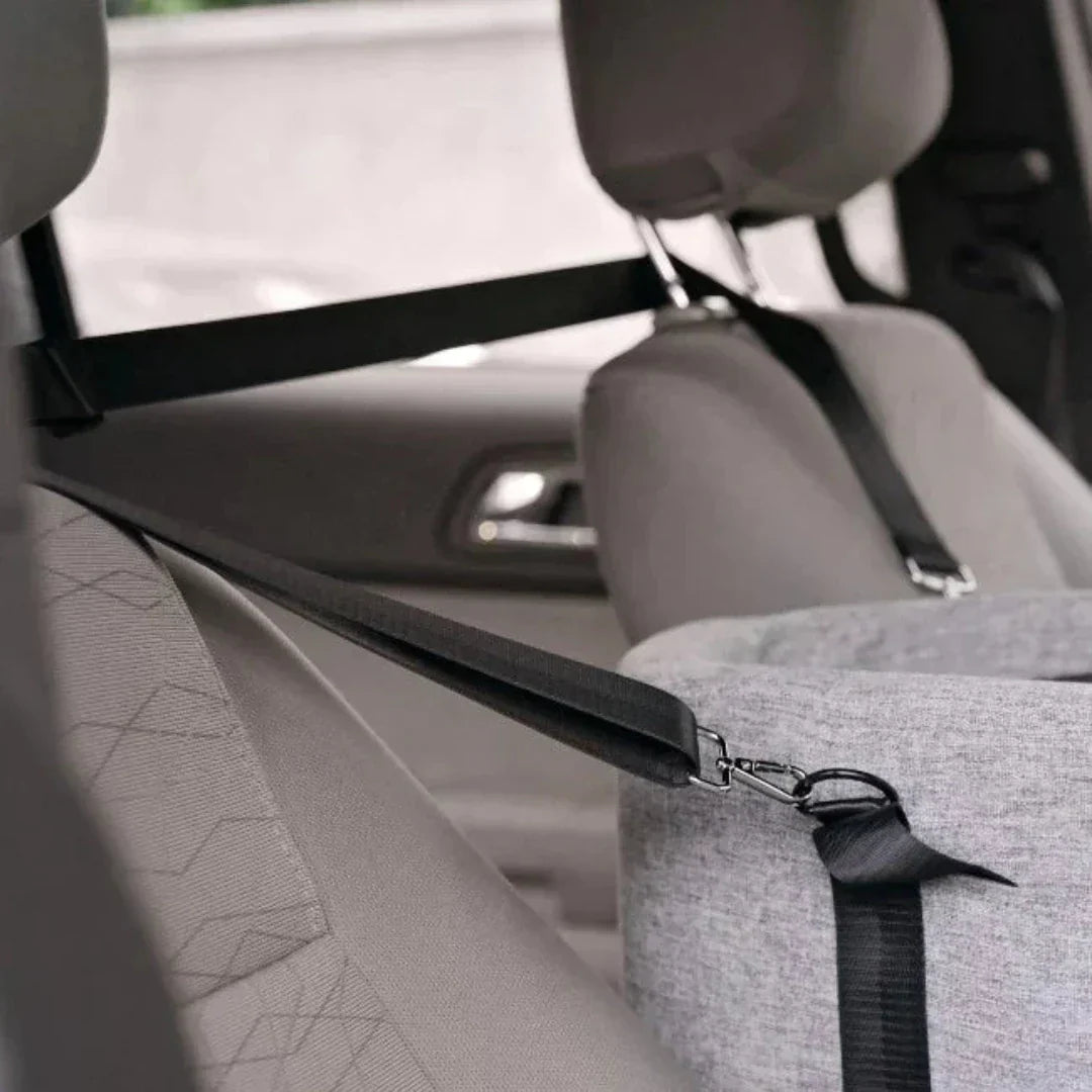 Car seat for Pets - PawVoyage-State of Style