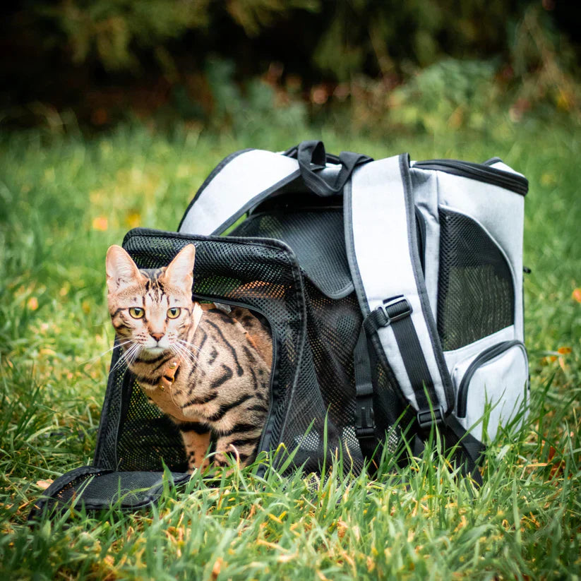 Cat backpack - PurrPack™-Grey-State of Style