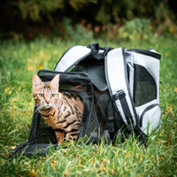 Cat backpack - PurrPack™-Grey-State of Style