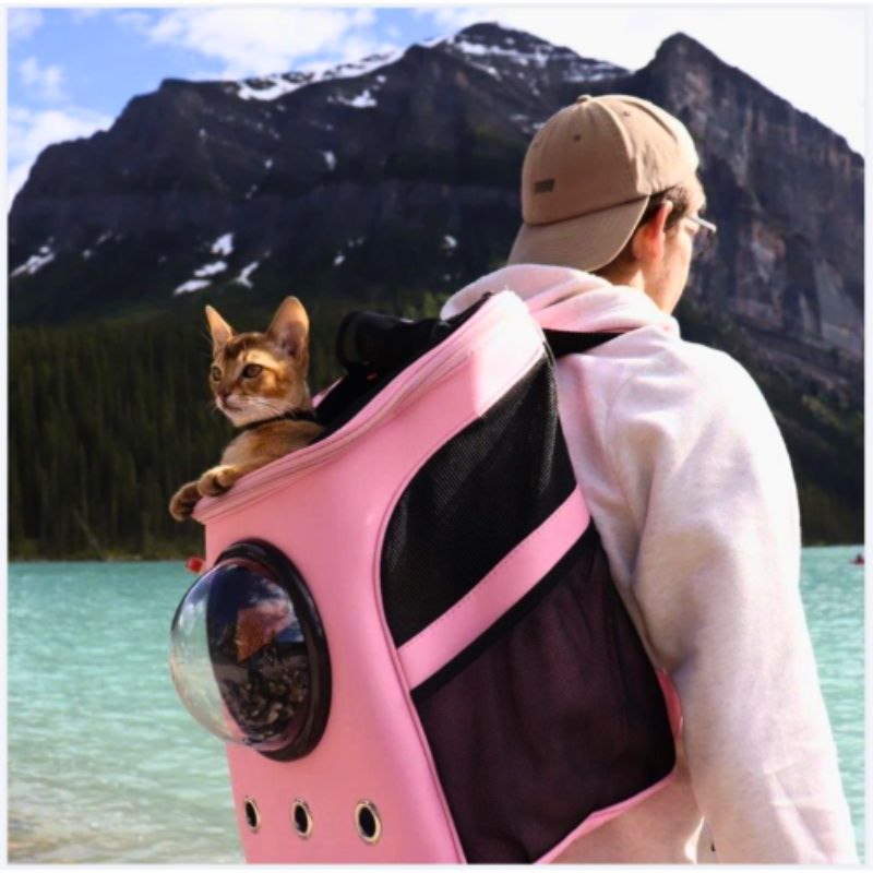 Cat Carrier - CatTrekker-Beige-State of Style
