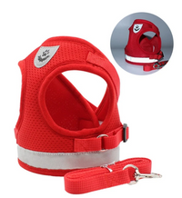 Cat Harness with Leash - AdventureKit-Black-S-State of Style
