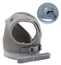 Cat Harness with Leash - AdventureKit-Black-S-State of Style
