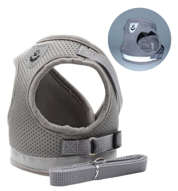 Cat Harness with Leash - AdventureKit-Black-S-State of Style