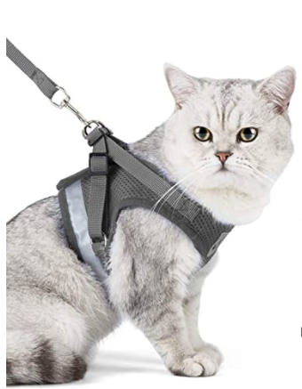 Cat Harness with Leash - AdventureKit-Black-S-State of Style