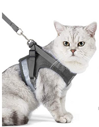 Cat Harness with Leash - AdventureKit-Black-S-State of Style