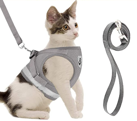 Cat Harness with Leash - AdventureKit-Black-S-State of Style