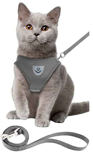 Cat Harness with Leash - AdventureKit-Black-S-State of Style