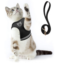 Cat Harness with Leash - AdventureKit-Black-S-State of Style