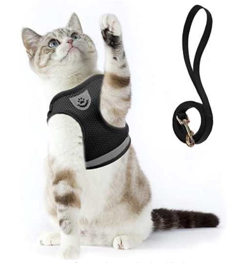 Cat Harness with Leash - AdventureKit-Black-S-State of Style