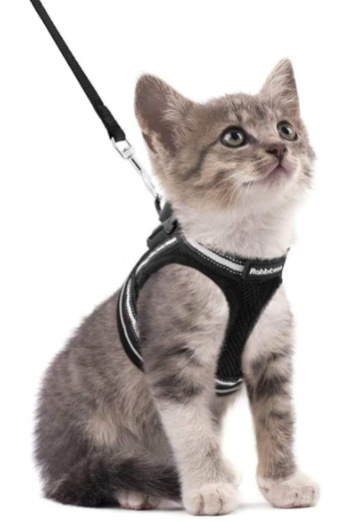 Cat Harness with Leash - AdventureKit-Black-S-State of Style