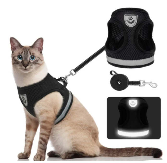 Cat Harness with Leash - AdventureKit-Black-S-State of Style