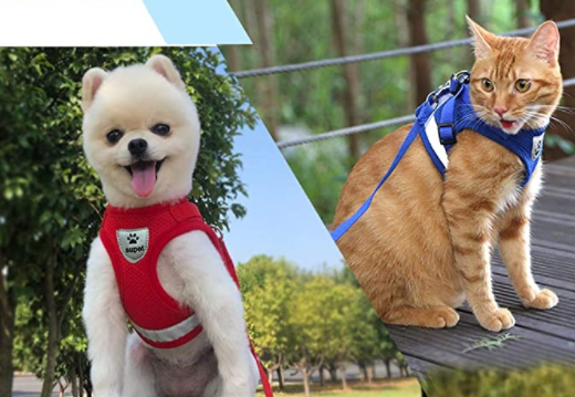 Cat Harness with Leash - AdventureKit-Black-S-State of Style