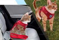 Cat Harness with Leash - AdventureKit-Black-S-State of Style