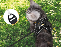 Cat Harness with Leash - AdventureKit-Black-S-State of Style