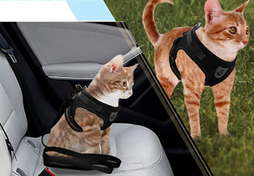 Cat Harness with Leash - AdventureKit-Black-S-State of Style