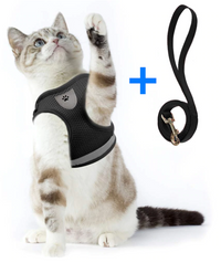 Cat Harness with Leash - AdventureKit-Black-S-State of Style