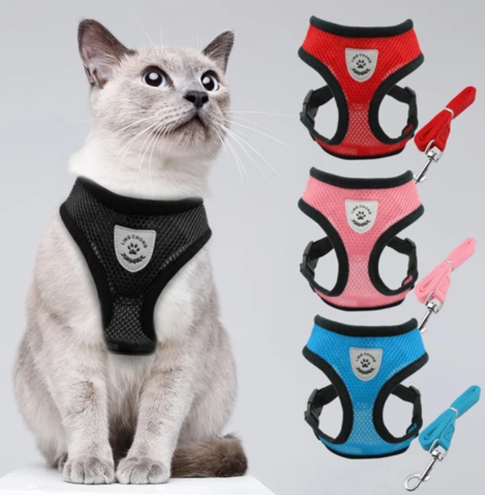 Cat Harness with Leash - AdventureKit-Black-S-State of Style