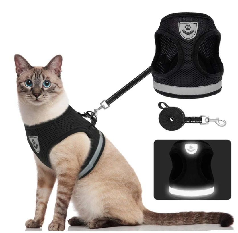 Cat Harness with Leash - AdventureKit-Black-S-State of Style