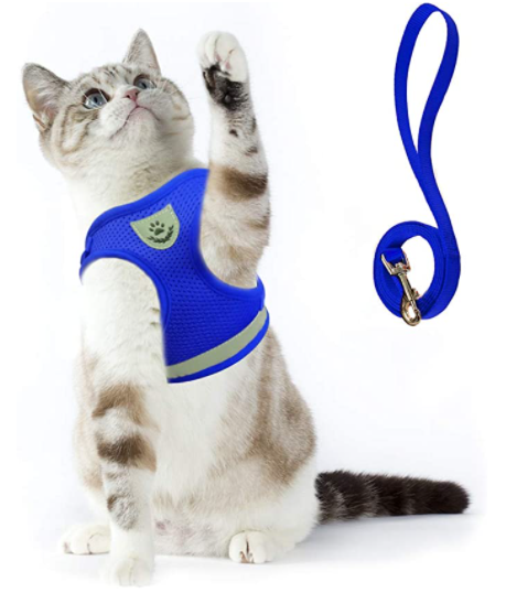 Cat Harness with Leash - AdventureKit-Blue-S-State of Style