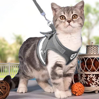 Cat Harness with Leash - AdventureKit-Grey-S-State of Style