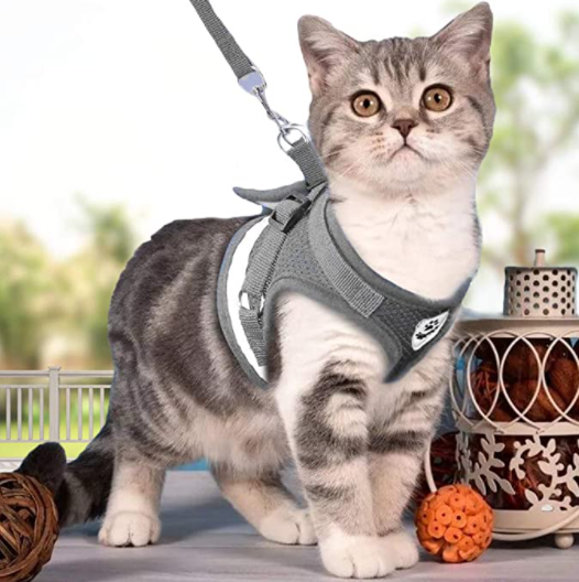 Cat Harness with Leash - AdventureKit-Grey-S-State of Style