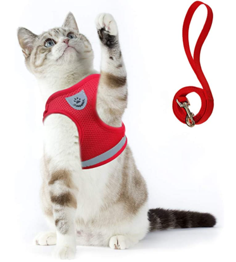 Cat Harness with Leash - AdventureKit-Red-S-State of Style