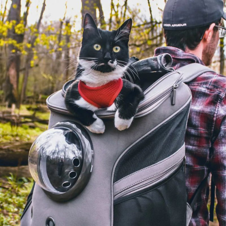 Cat Travel Bag - CatTrekker-Beige-State of Style