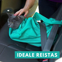Cat Travel Bag for Comfortable Transport (Buy 1, Get 1 Free) - PurrPorter-State of Style