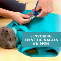 Cat Travel Bag for Comfortable Transport (Buy 1, Get 1 Free) - PurrPorter-State of Style