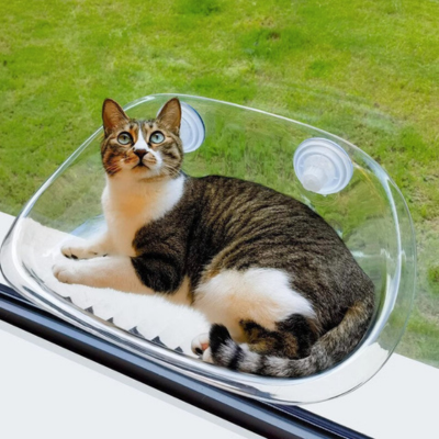 Cat Window - KittyView-State of Style