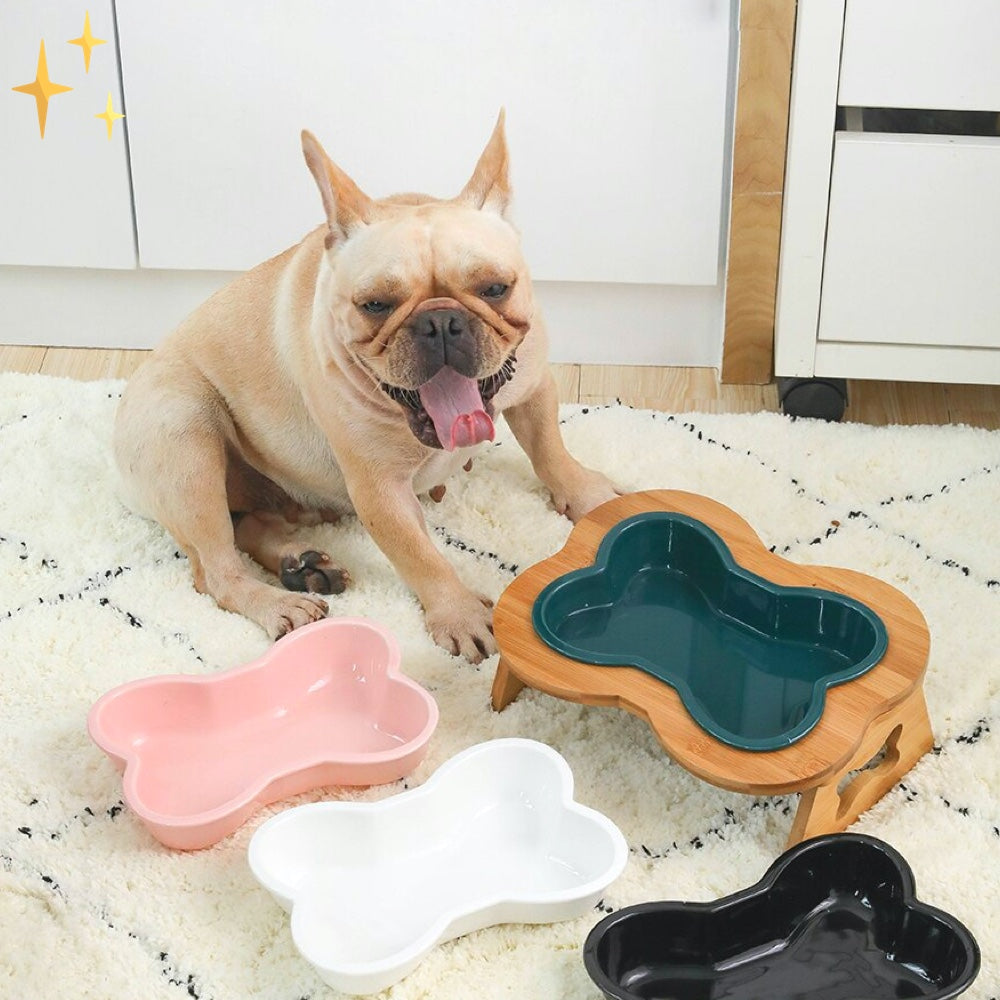 Ceramic Dog Food Bowl with Wooden Stand - BoneFeast-Green-State of Style