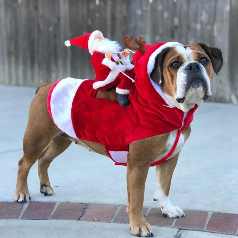 Christmas Costume for Dogs - SantaPaws-State of Style