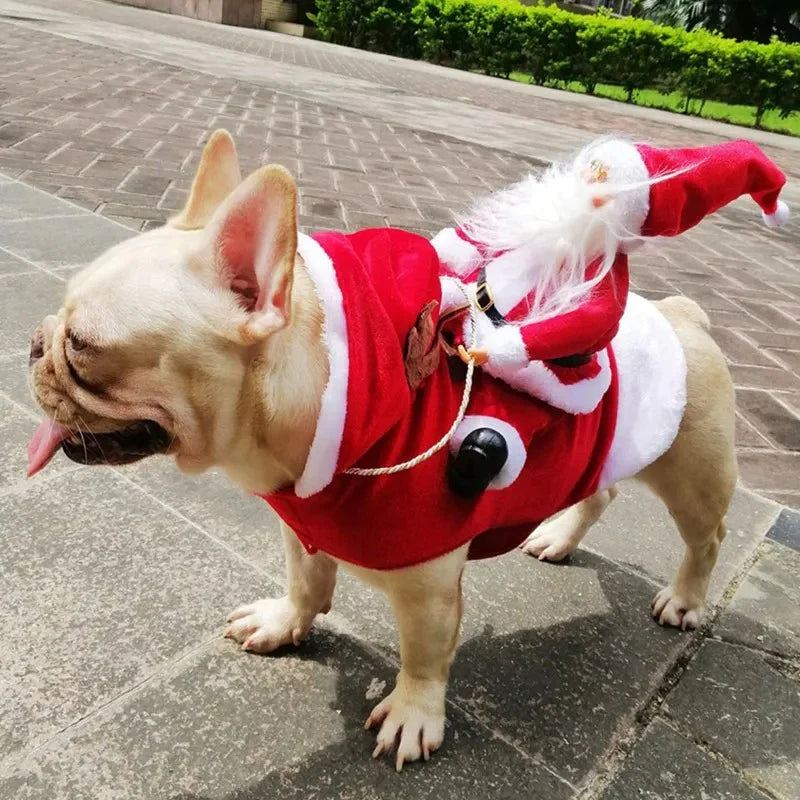 Christmas Costume for Dogs - SantaPaws-State of Style