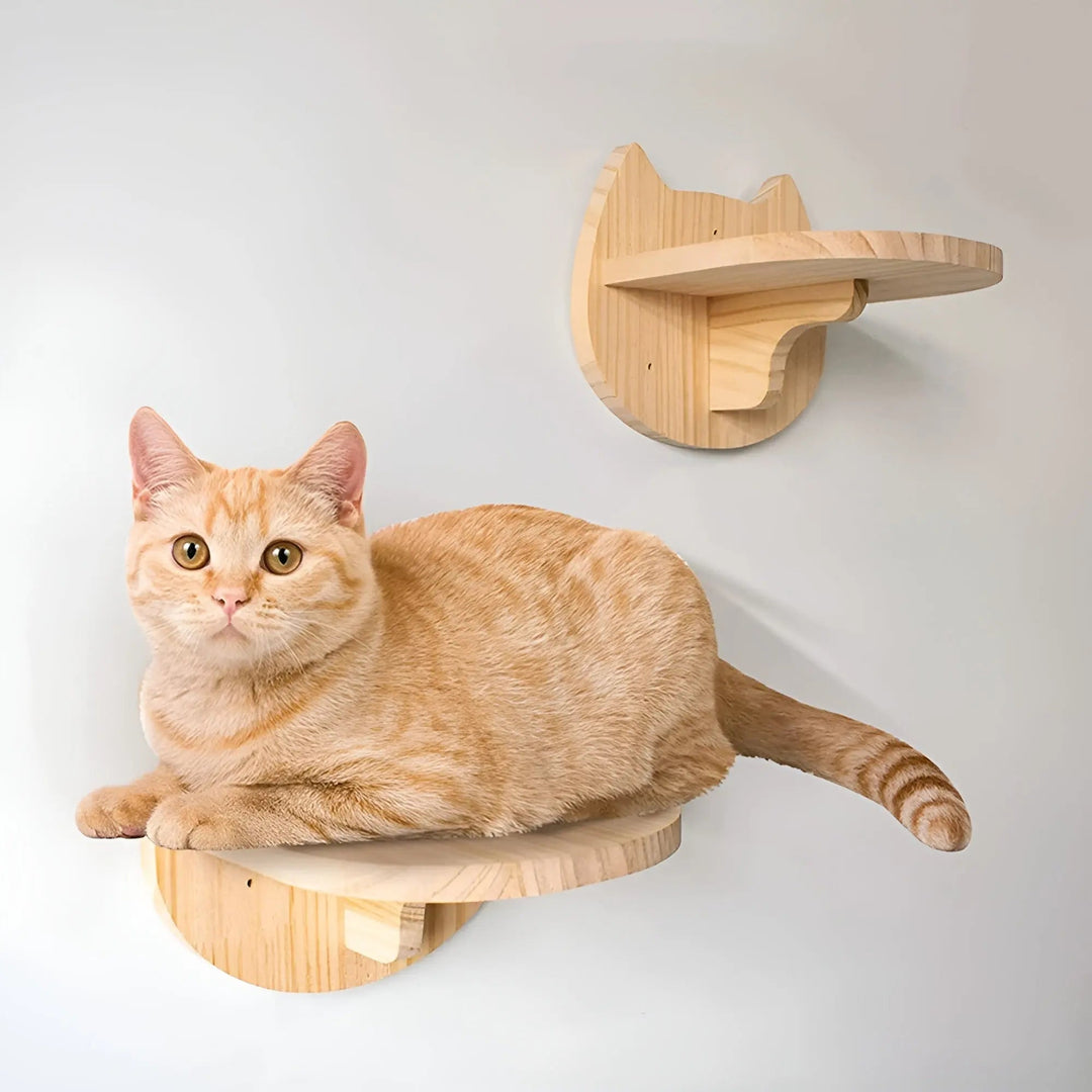 Climbing Wall Shelf for Cats with Scratching Post - ClimbPaws-Striped Cat Hammock-State of Style