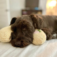 Comfortable Cushion for Dogs - CalmNest-Blue-State of Style