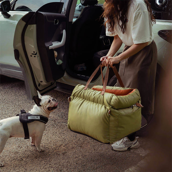 Comfortable Dog Car Seat - PawLuxury-Orange Green-State of Style