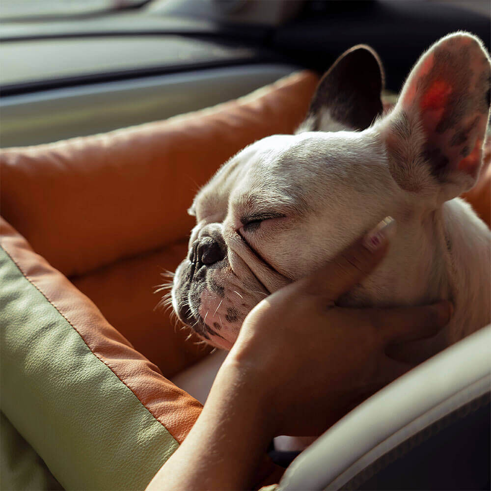 Comfortable Dog Car Seat - PawLuxury-Orange Green-State of Style