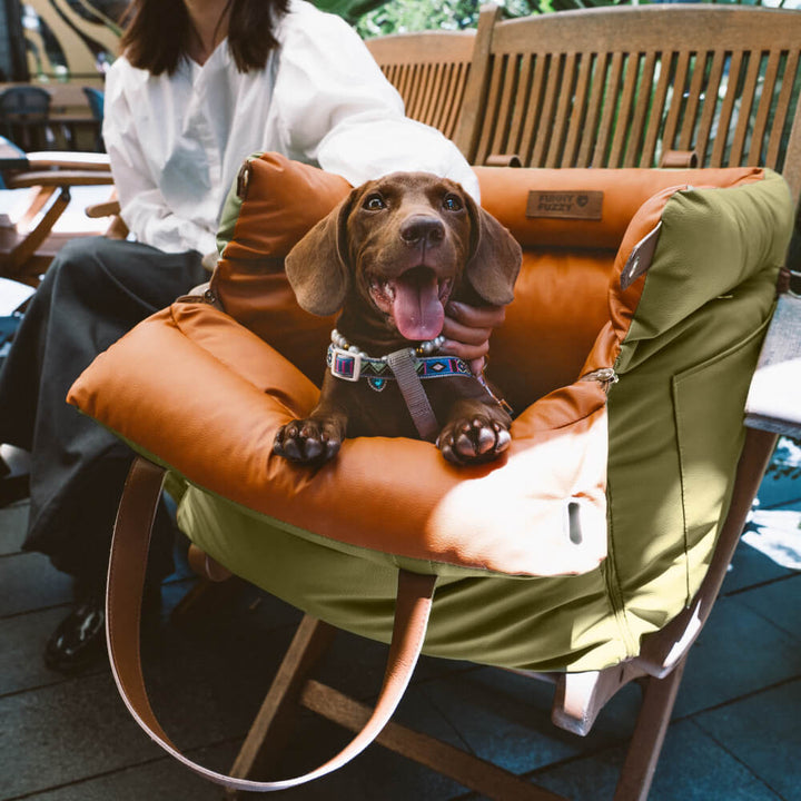 Comfortable Dog Car Seat - PawLuxury-Orange Green-State of Style