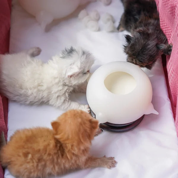 Compact Milk Bowl for Kittens - KittySip-Pink-State of Style