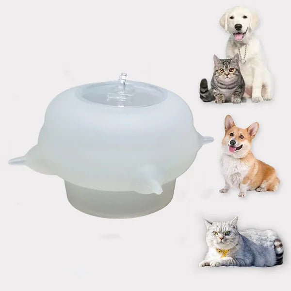 Compact Milk Bowl for Kittens - KittySip-Pink-State of Style