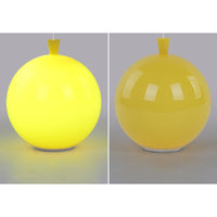 Compact Modern LED Balloon Ceiling Lamp - AuraLite-20CM-White-State of Style