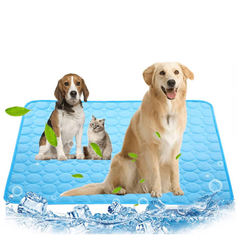 Cooling Dog Mat - CoolPet Mat-XS 40x30 cm-Blue-State of Style
