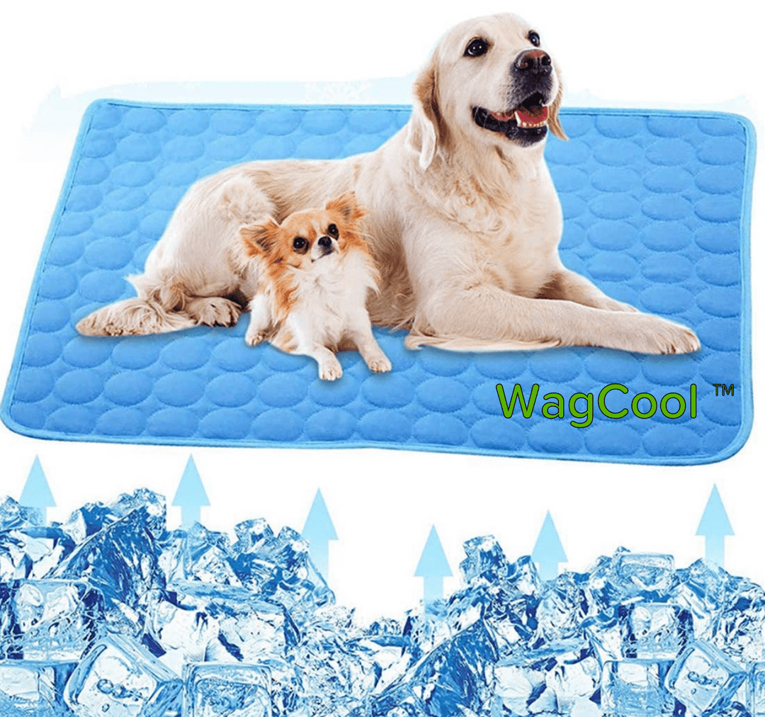 Cooling Dog Mat - CoolPet Mat-XS 40x30cm-Blue-State of Style