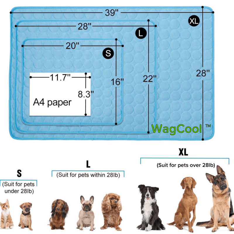 Cooling Dog Mat - CoolPet Mat-XS 40x30cm-Blue-State of Style