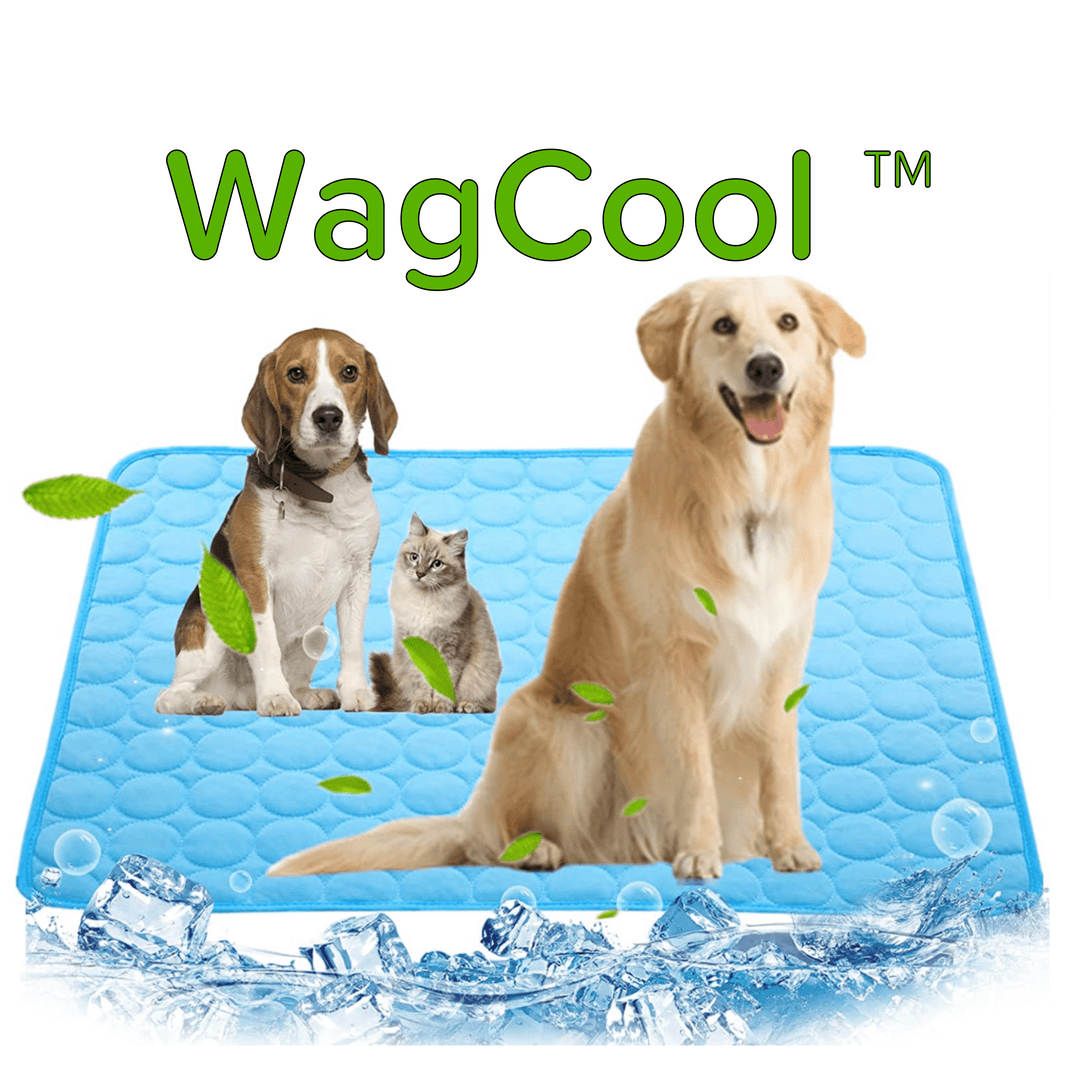 Cooling Dog Mat - CoolPet Mat-XS 40x30cm-Blue-State of Style