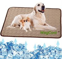 Cooling Dog Mat - CoolPet Mat-XS 40x30cm-Coffee-State of Style
