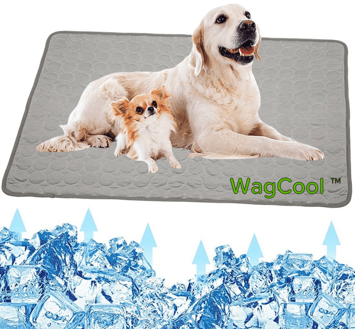 Cooling Dog Mat - CoolPet Mat-XS 40x30cm-Gray-State of Style