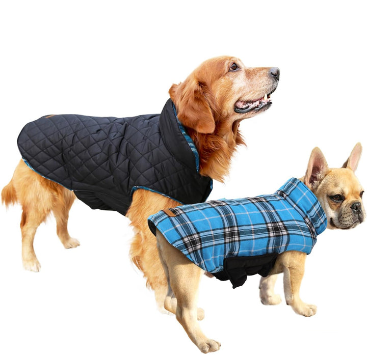 Cozy Waterproof Dog Jacket – Winter Coat in British Style-Blue-S-State of Style